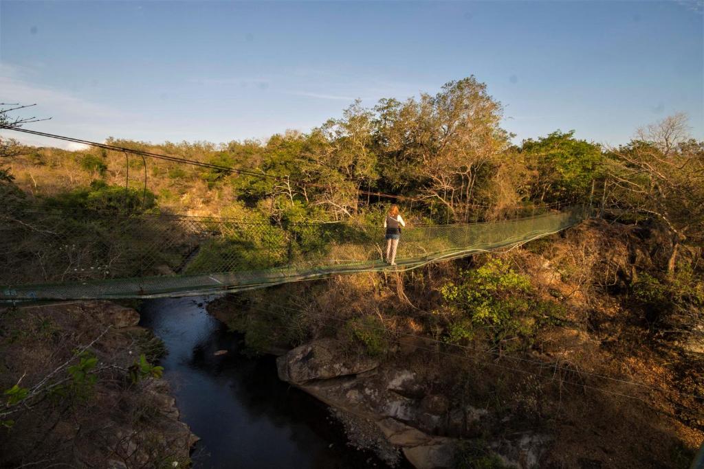Nature Trails