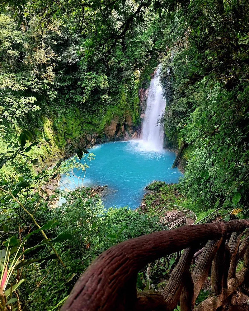 Rainforest scenery